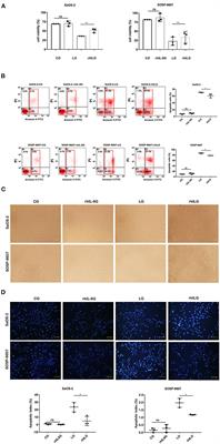 Protein and Signaling Pathway Responses to rhIL-6 Intervention Before Lobaplatin Treatment in Osteosarcoma Cells